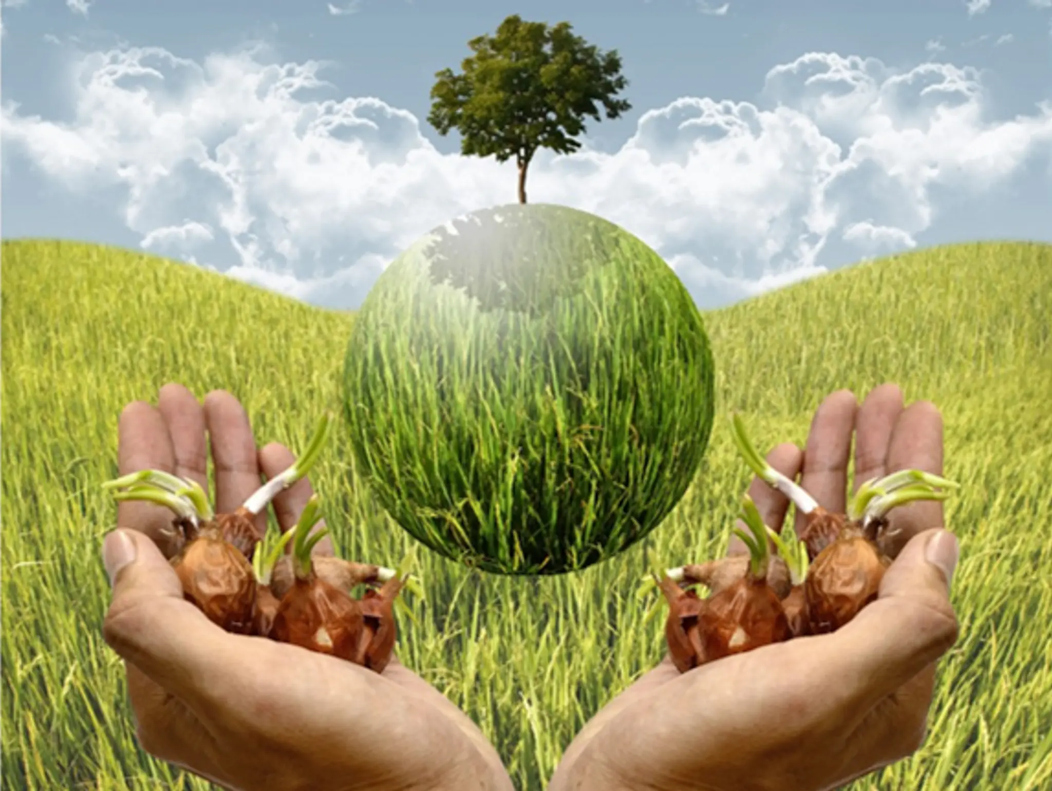 Hybrid Work: A Path Towards a Happier Planet