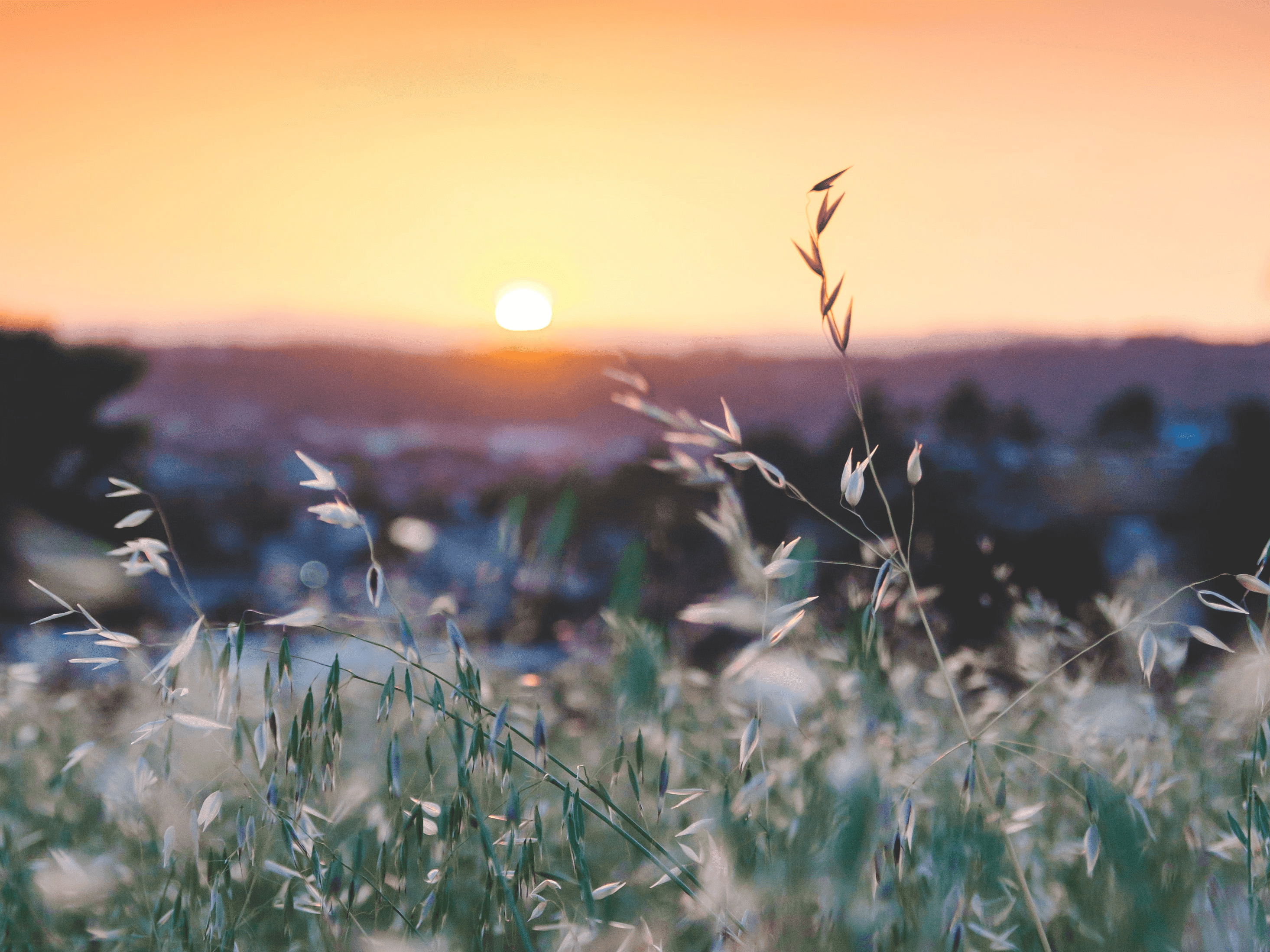 Love Poem to Our Earth