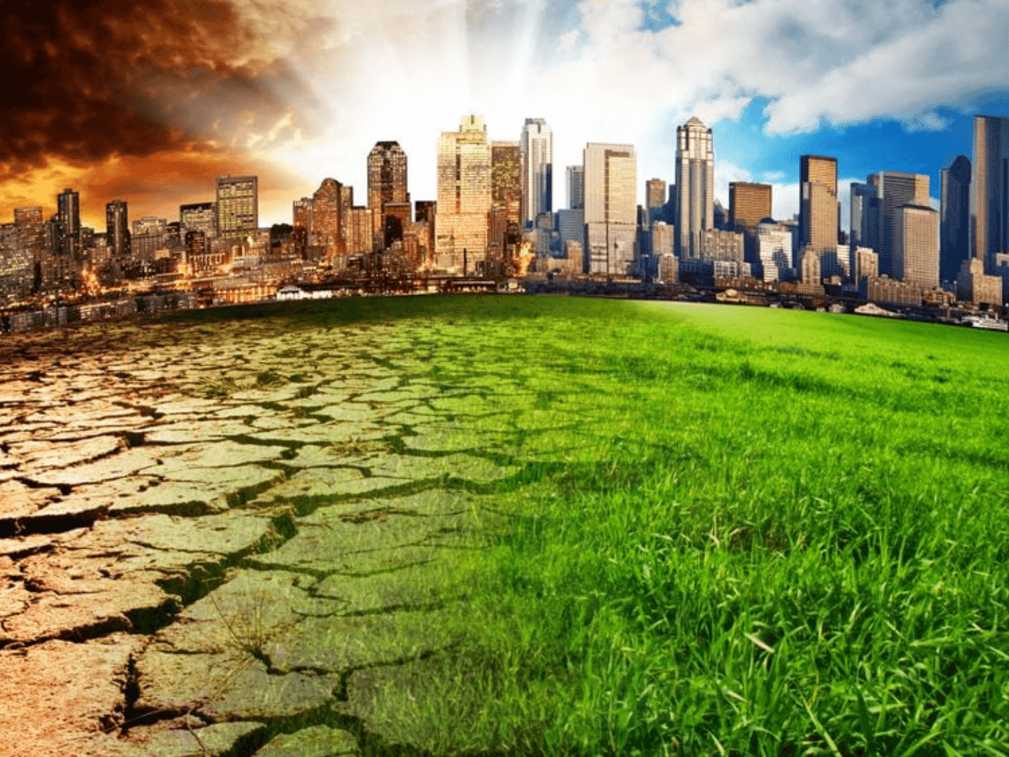 Monetising Environmental Sustainability in South Africa's ESG Landscape