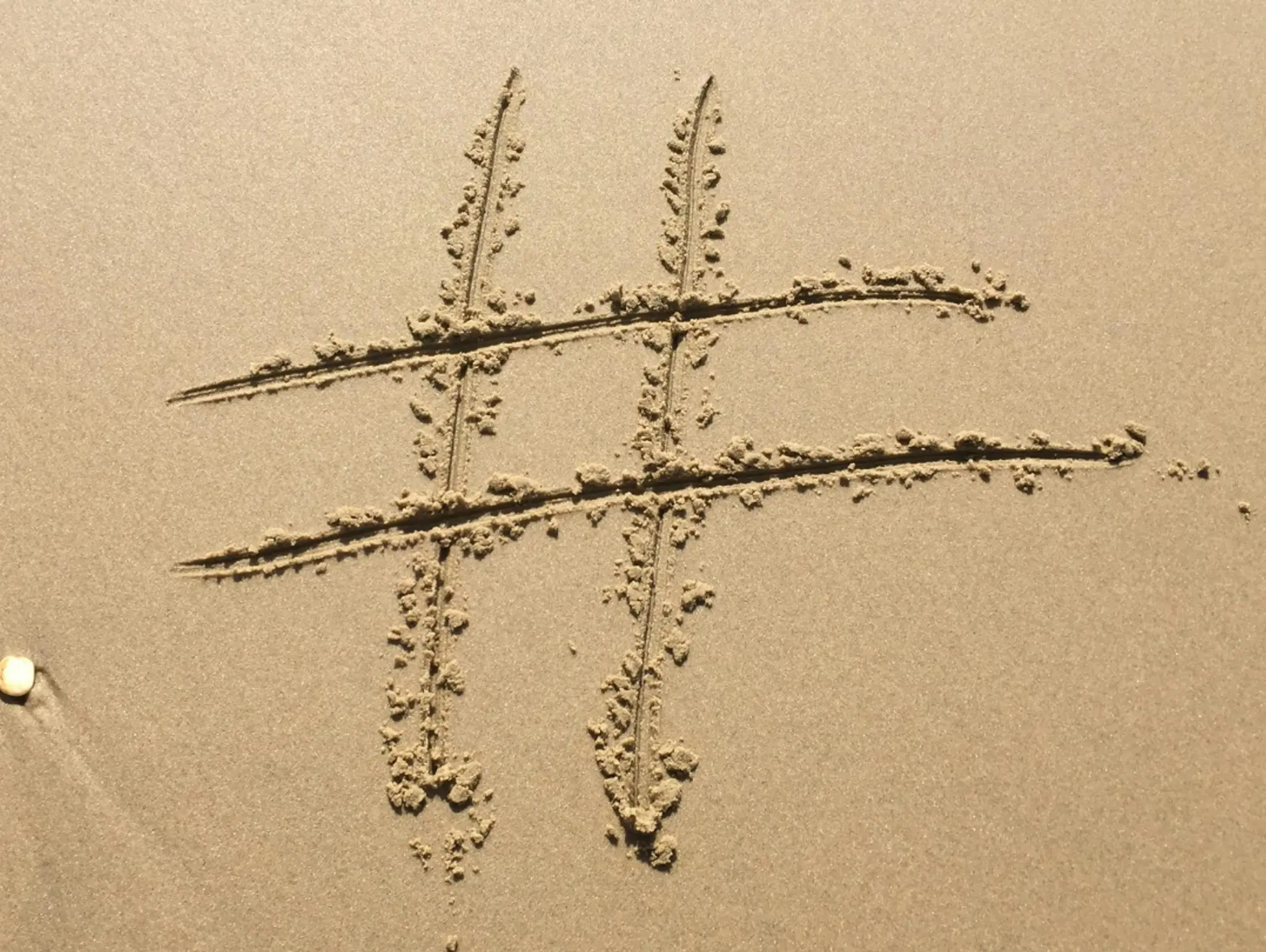 From Hashtags to Conservation: How Social Media can Save the Planet