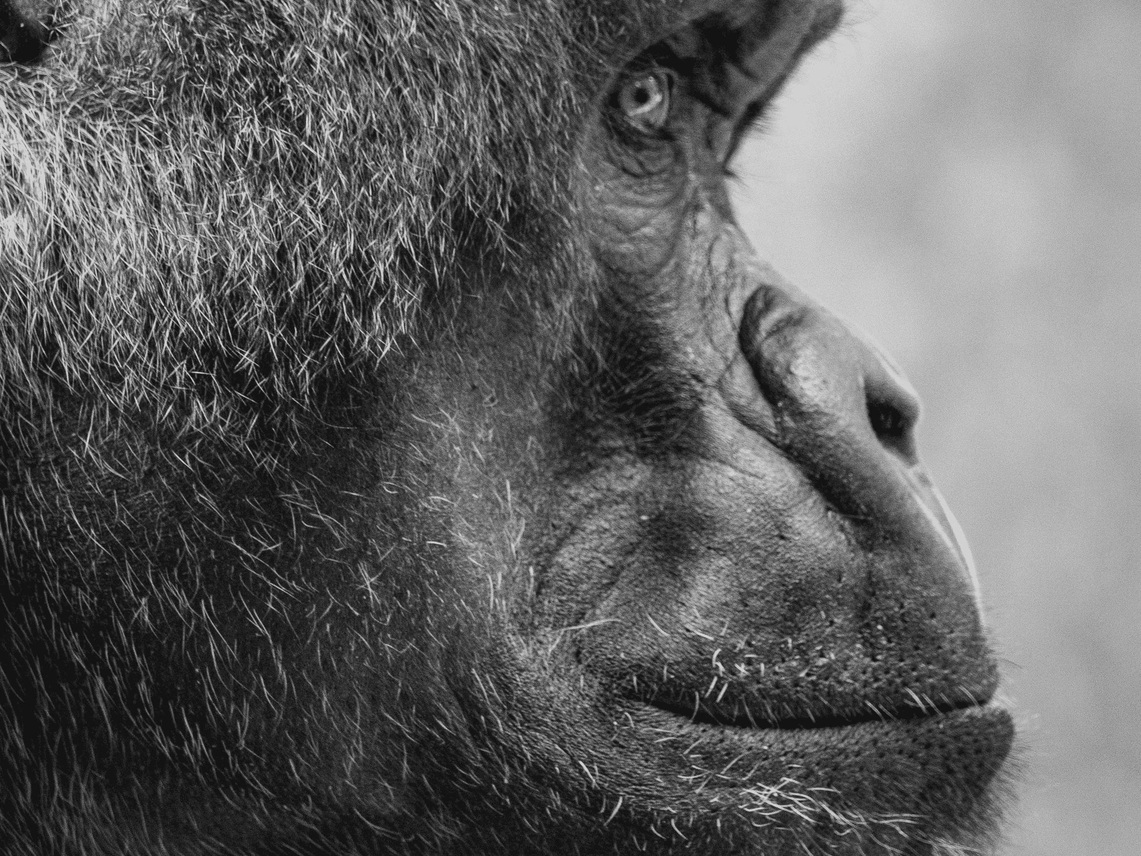 A Global Environmental Perspective