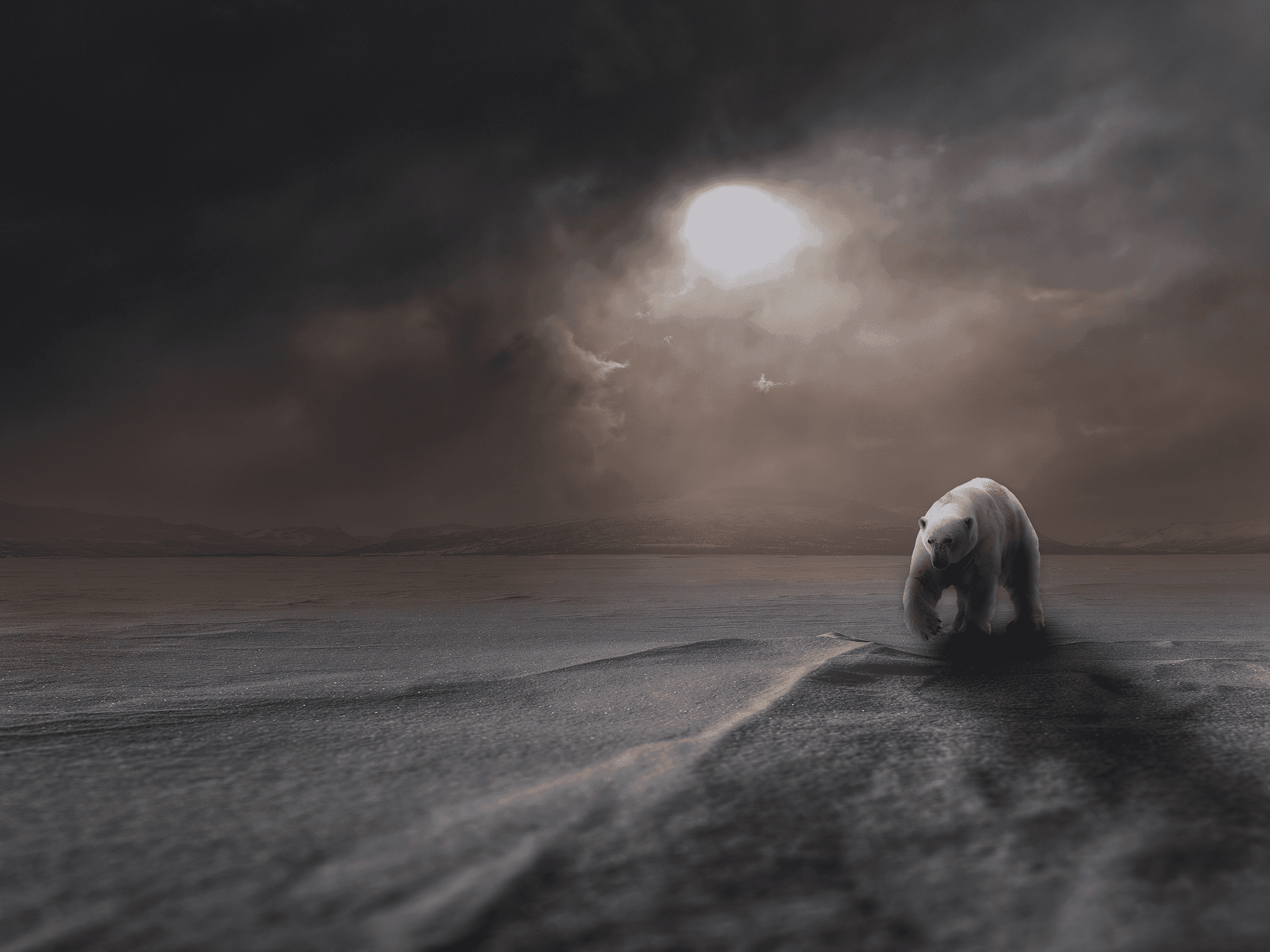 How Mankind's "Mistakes" threaten Polar Bear Survival