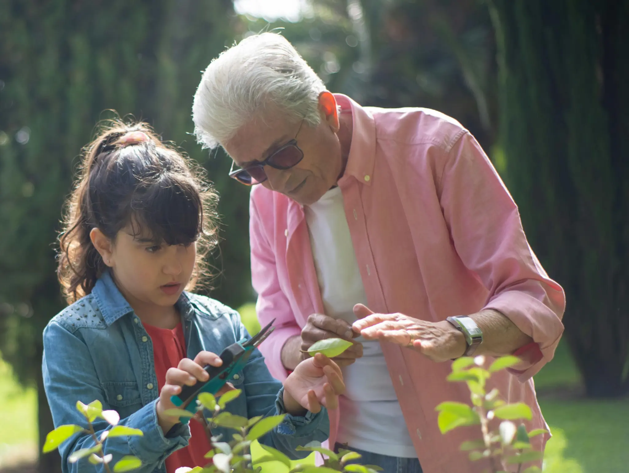 Urban Gardening: Engaging Young Minds