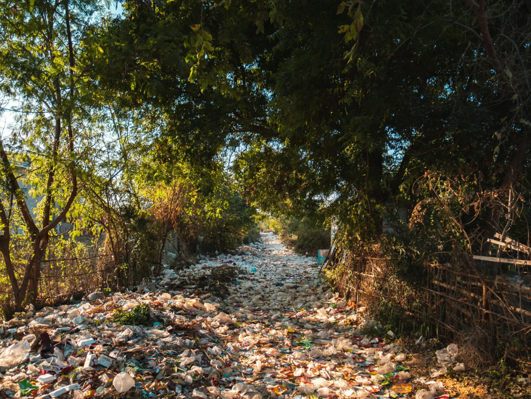 Eco-Future: Paving the Way with Recycling
