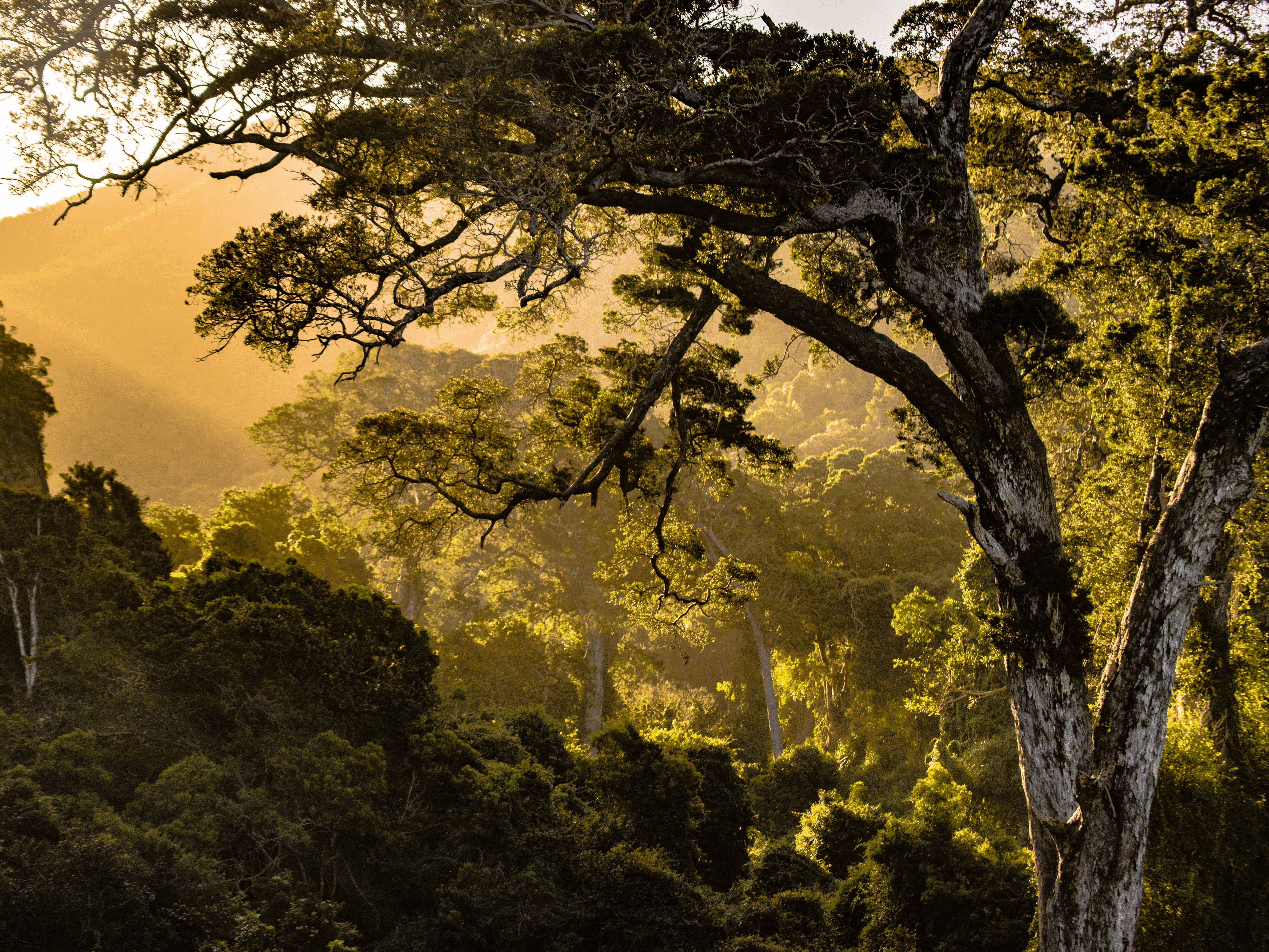 Reconnecting and Reengaging Wilderness Stewardship