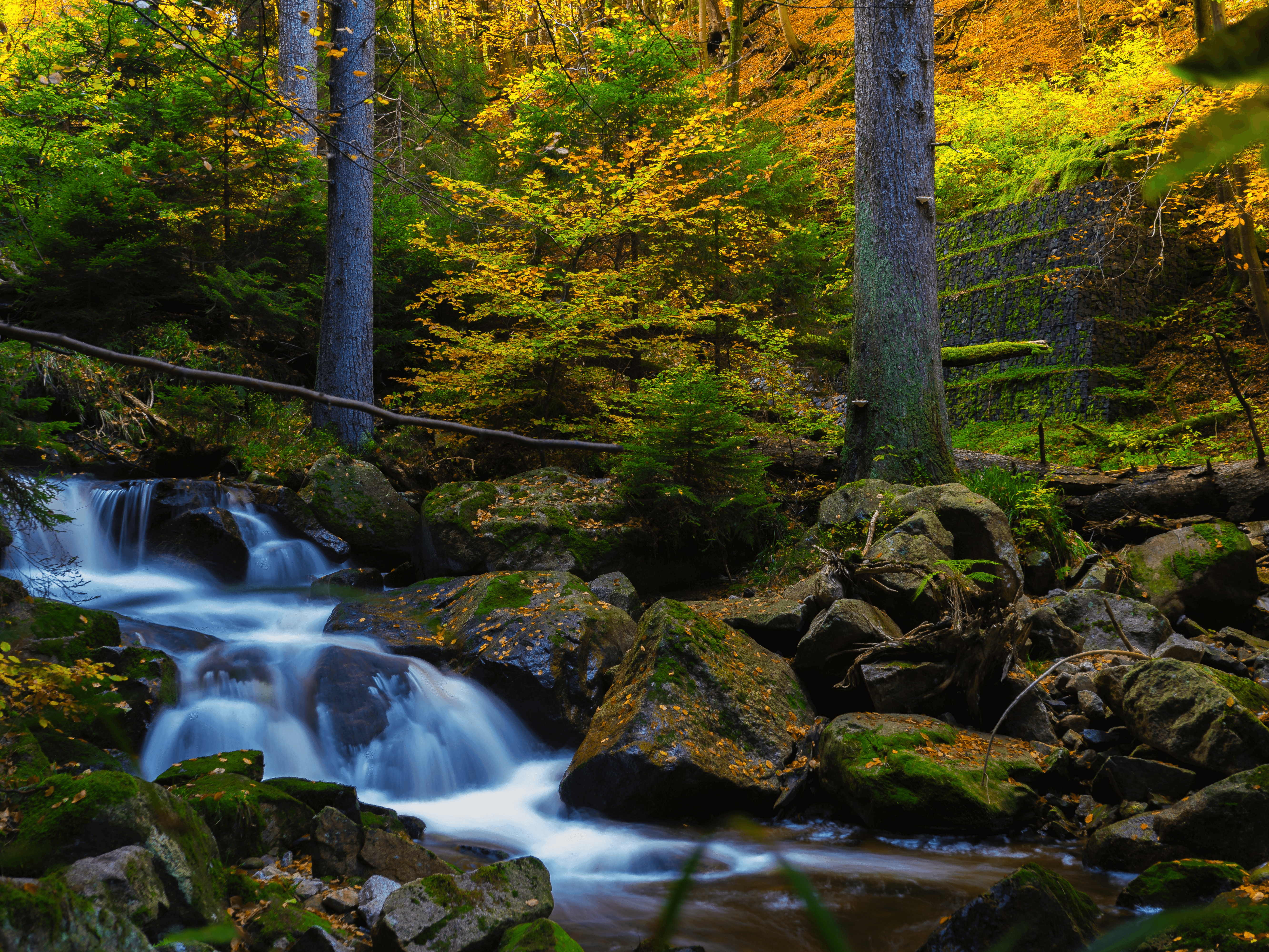 The Nature and Human Wellbeing Game – Winners and losers? 