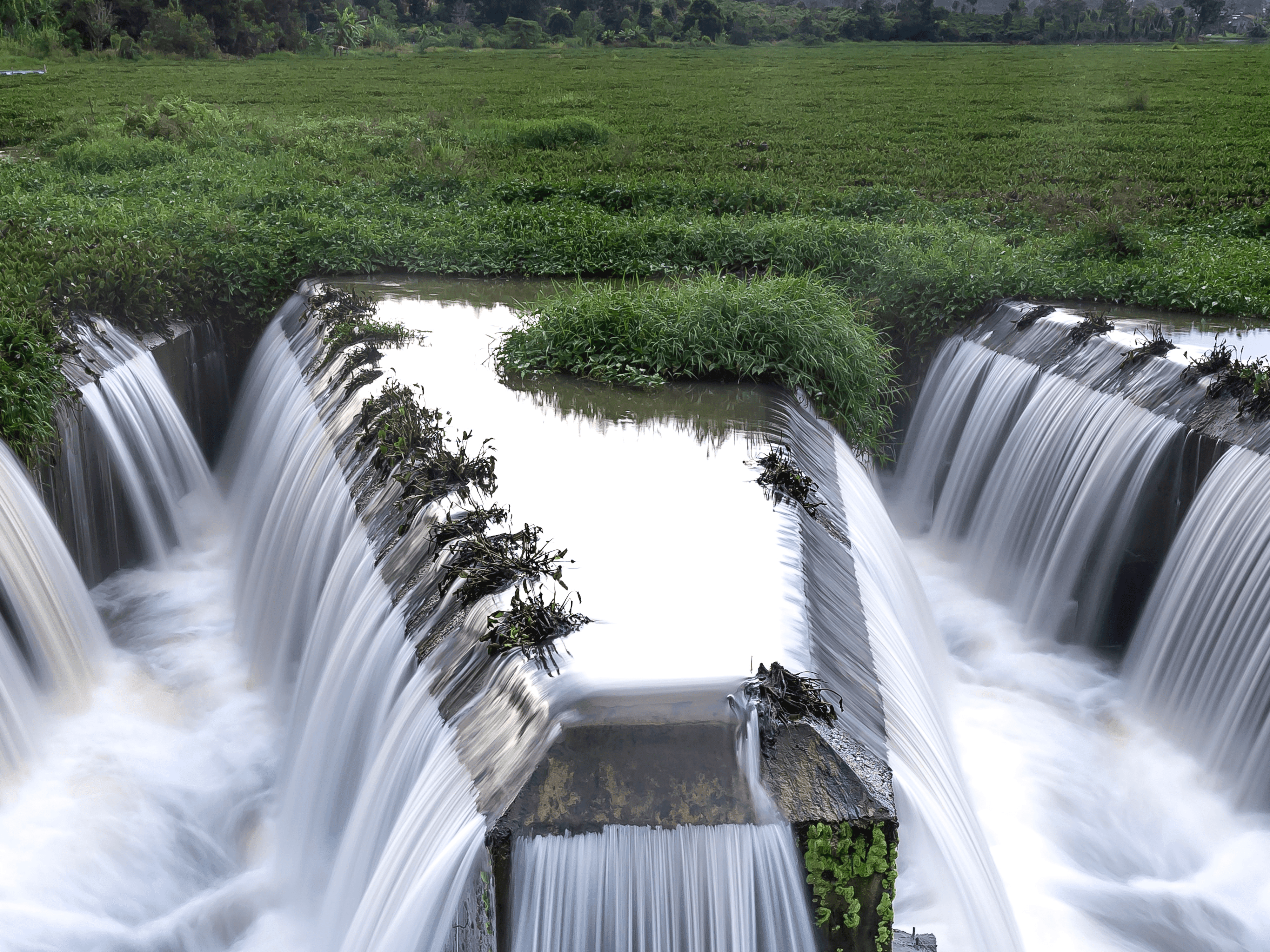 Agriculture and the Effects on the Environment 