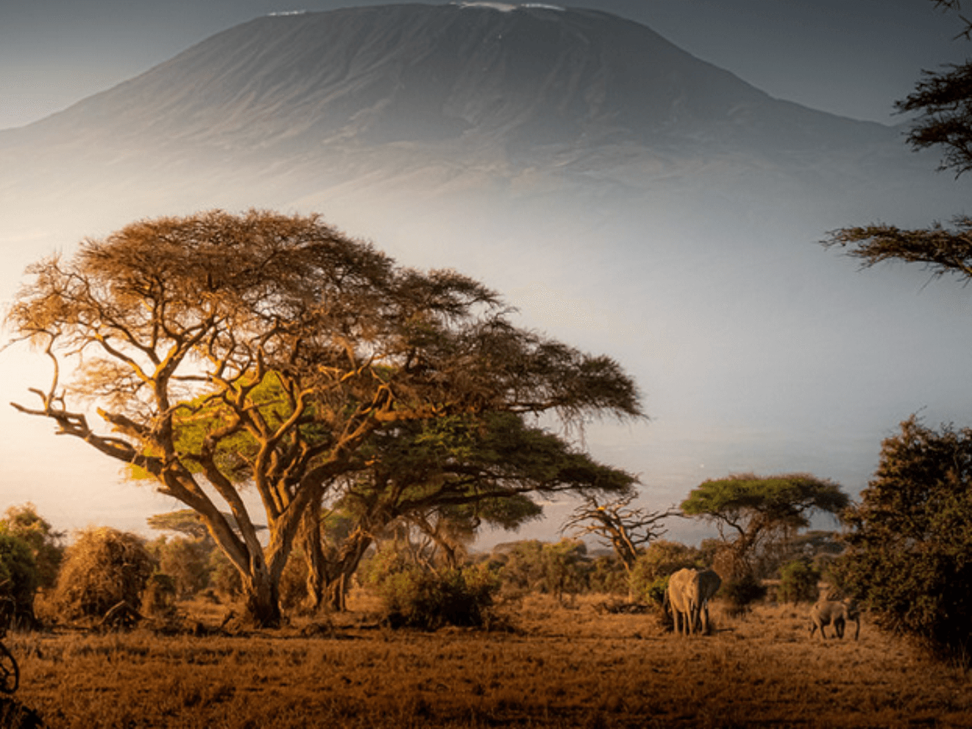 Thought Piece for Xtinct Magazine