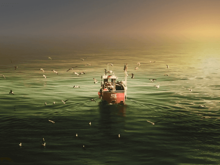 Continental Climate Change and Antarctica 