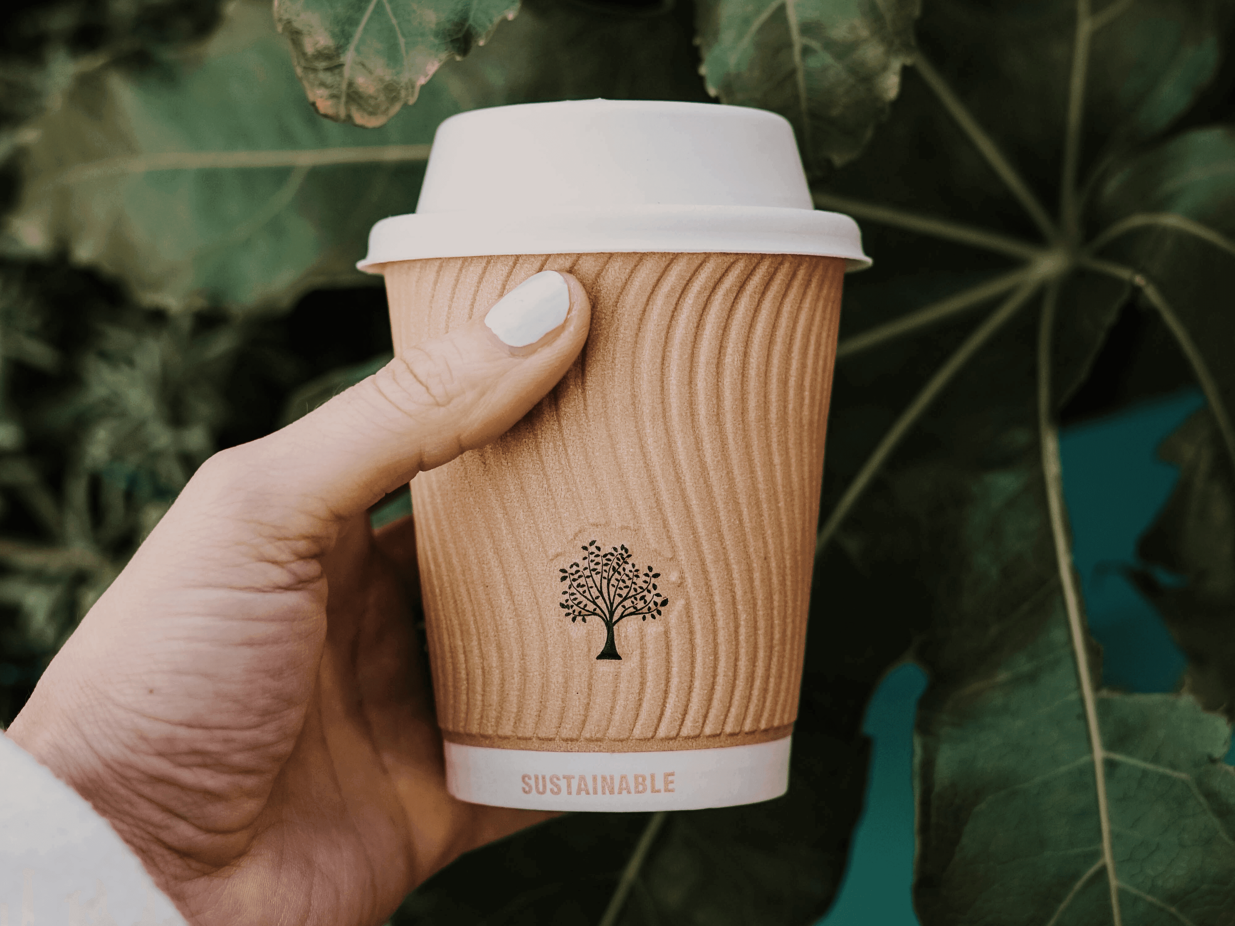 Types and Effects of Waste Packaging and Recycling 