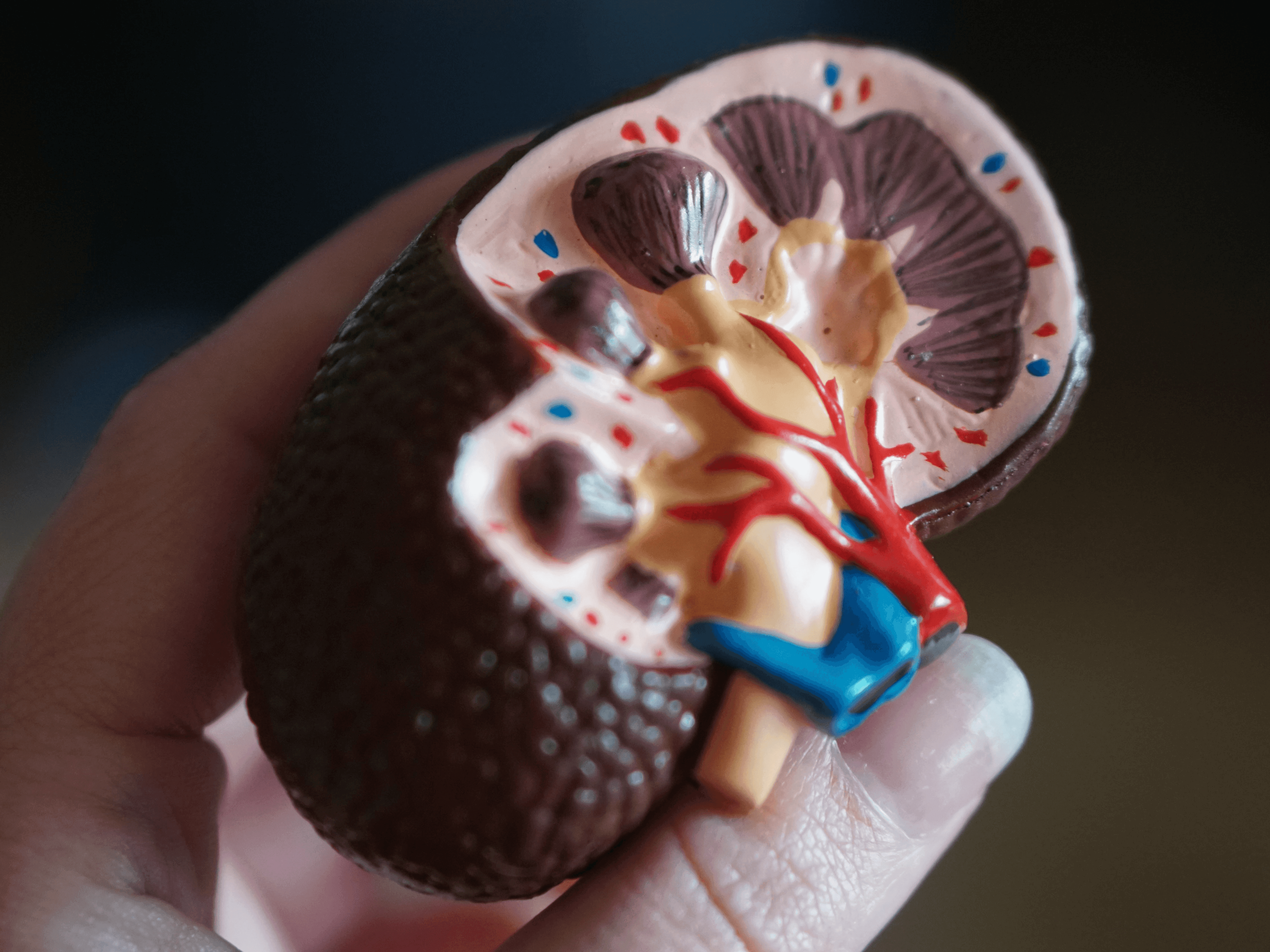 NICE issues positive appraisal for advanced kidney cancer treatment