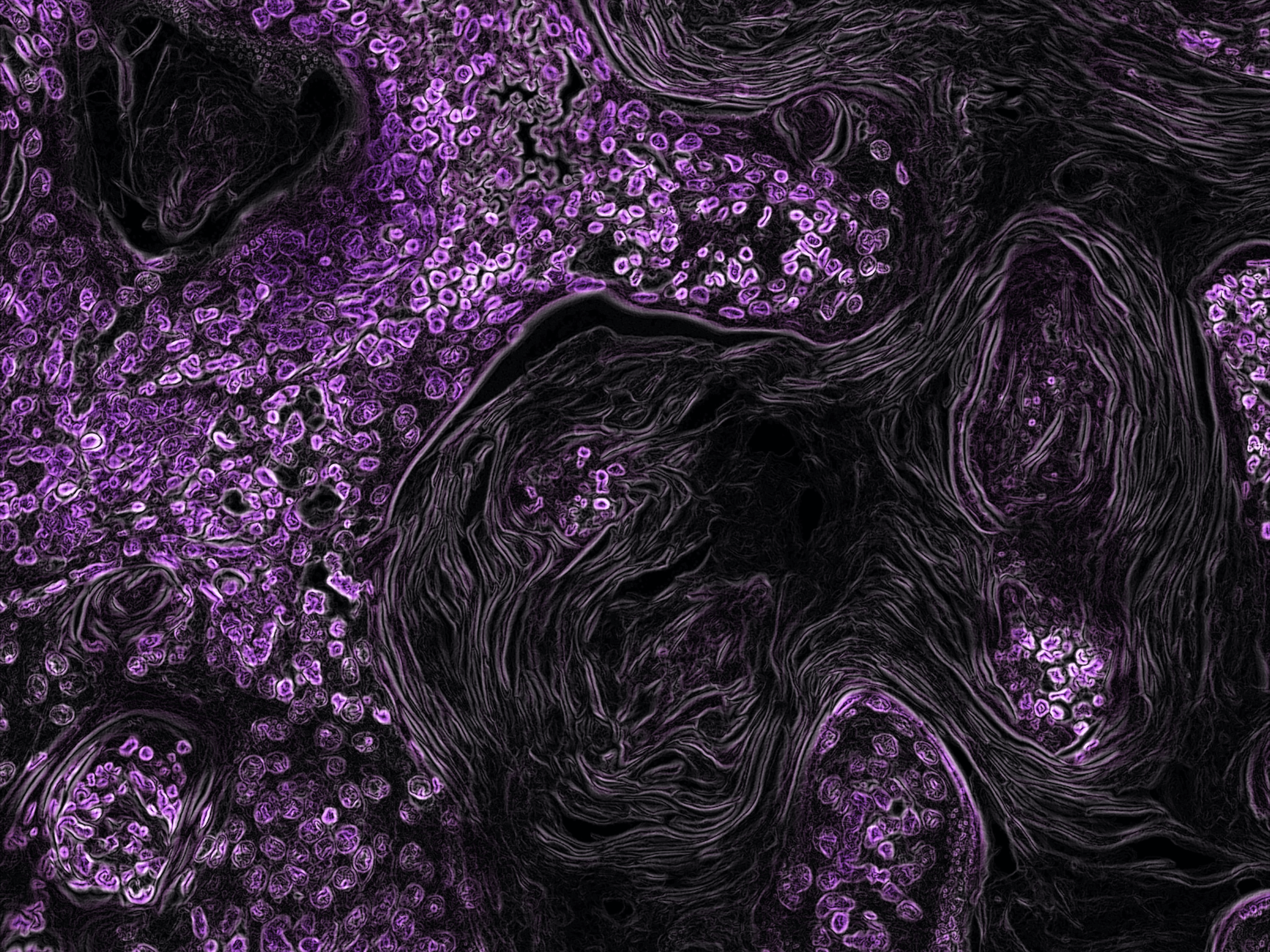 Digital Platforms And The World Of Oncology