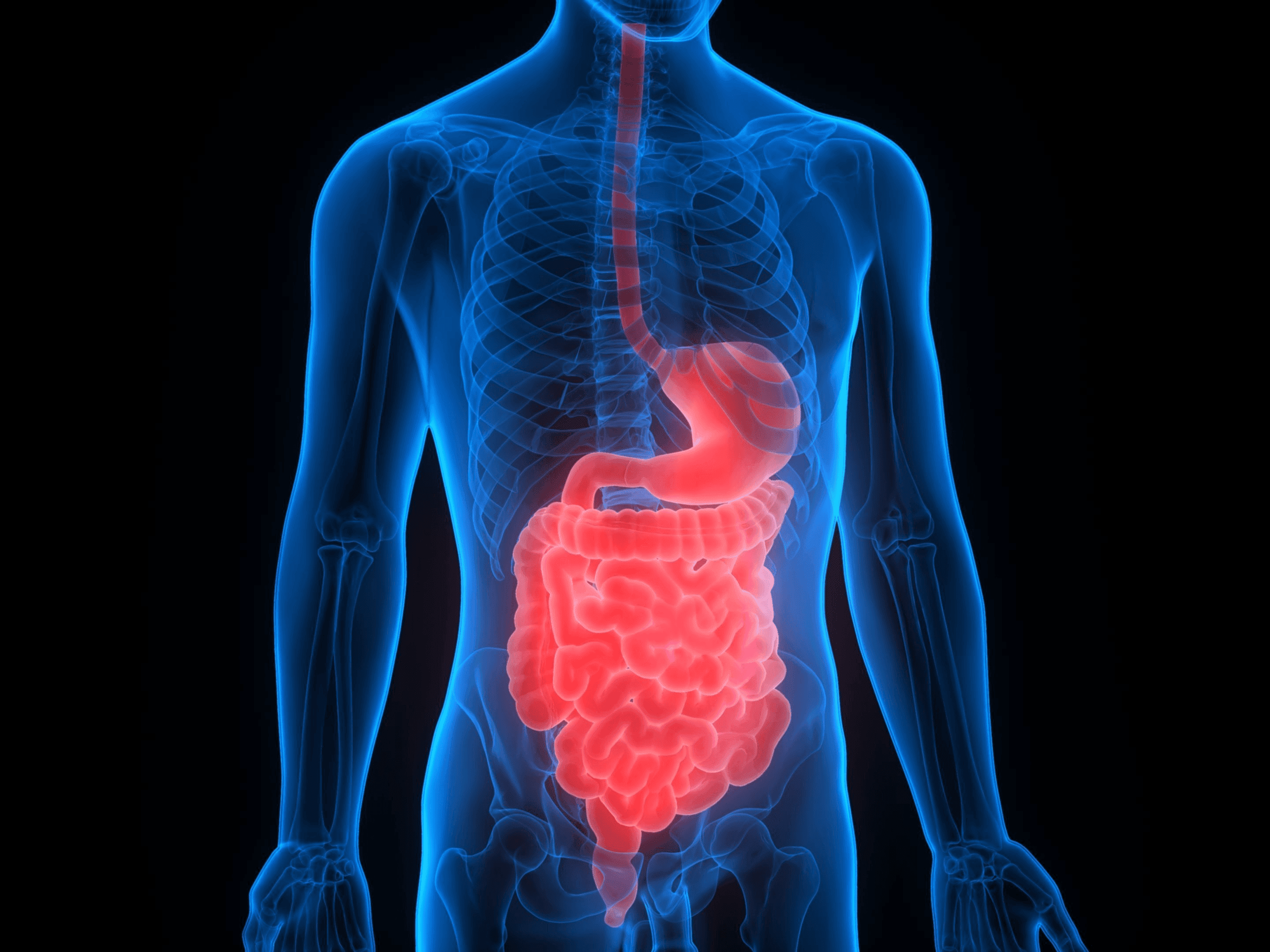 FDA approves first orally administered faecal microbiota product for preventing gut infection