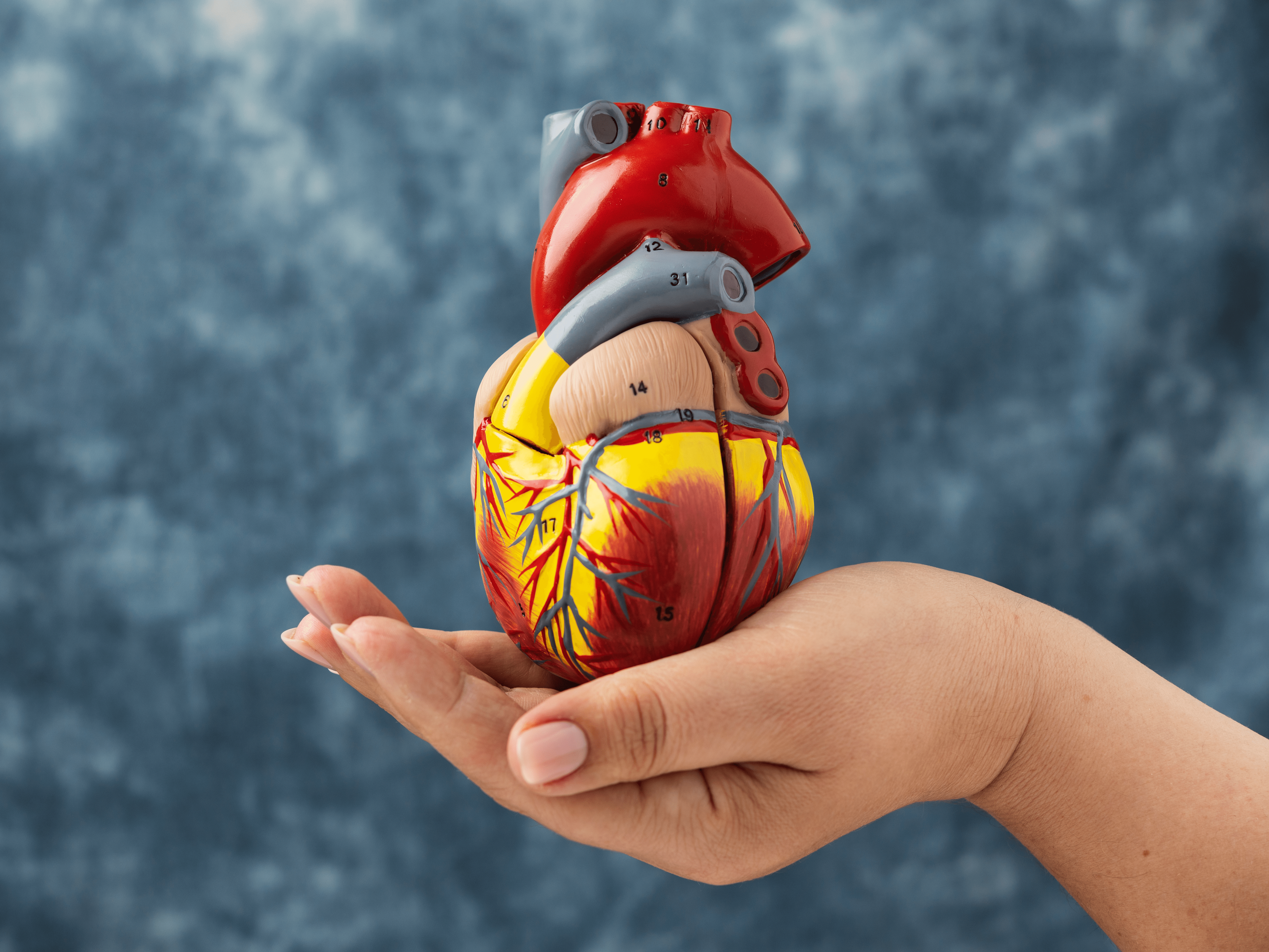 Hundreds of thousands to benefit from new heart attack and stroke preventative