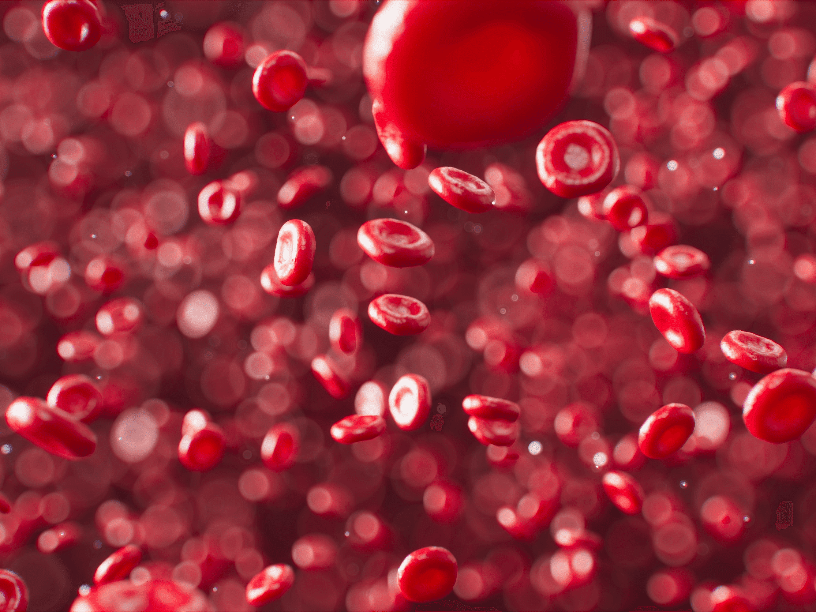 NICE recommends two CAR T treatments for blood cancers to the Cancer Drugs Fund