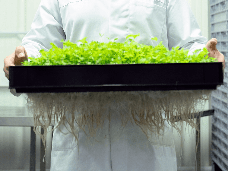 Kelai Pharmaceutical Partners With Nutrasource To Support Drug Development Into Natural Compounds