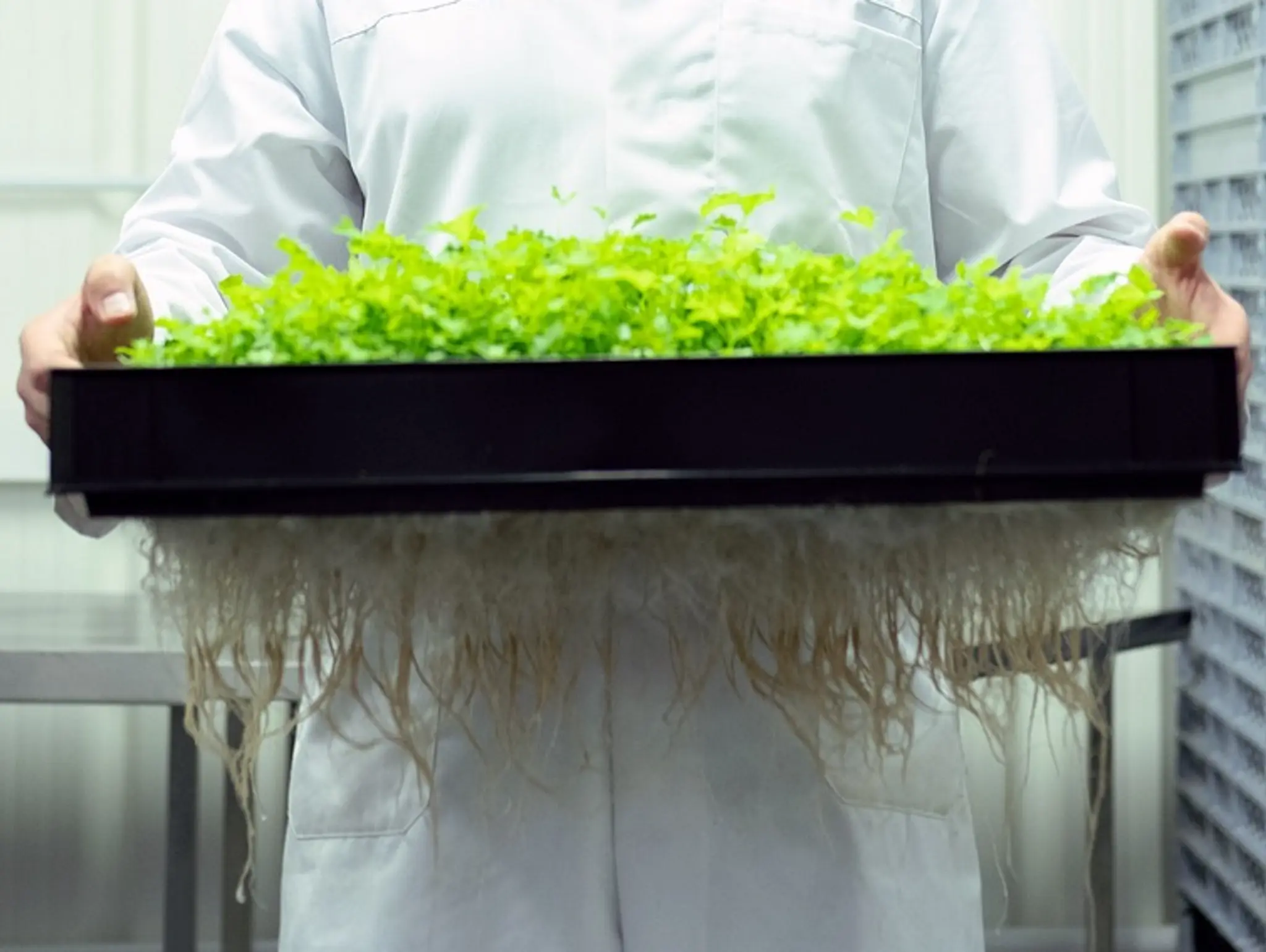 Kelai Pharmaceutical Partners With Nutrasource To Support Drug Development Into Natural Compounds