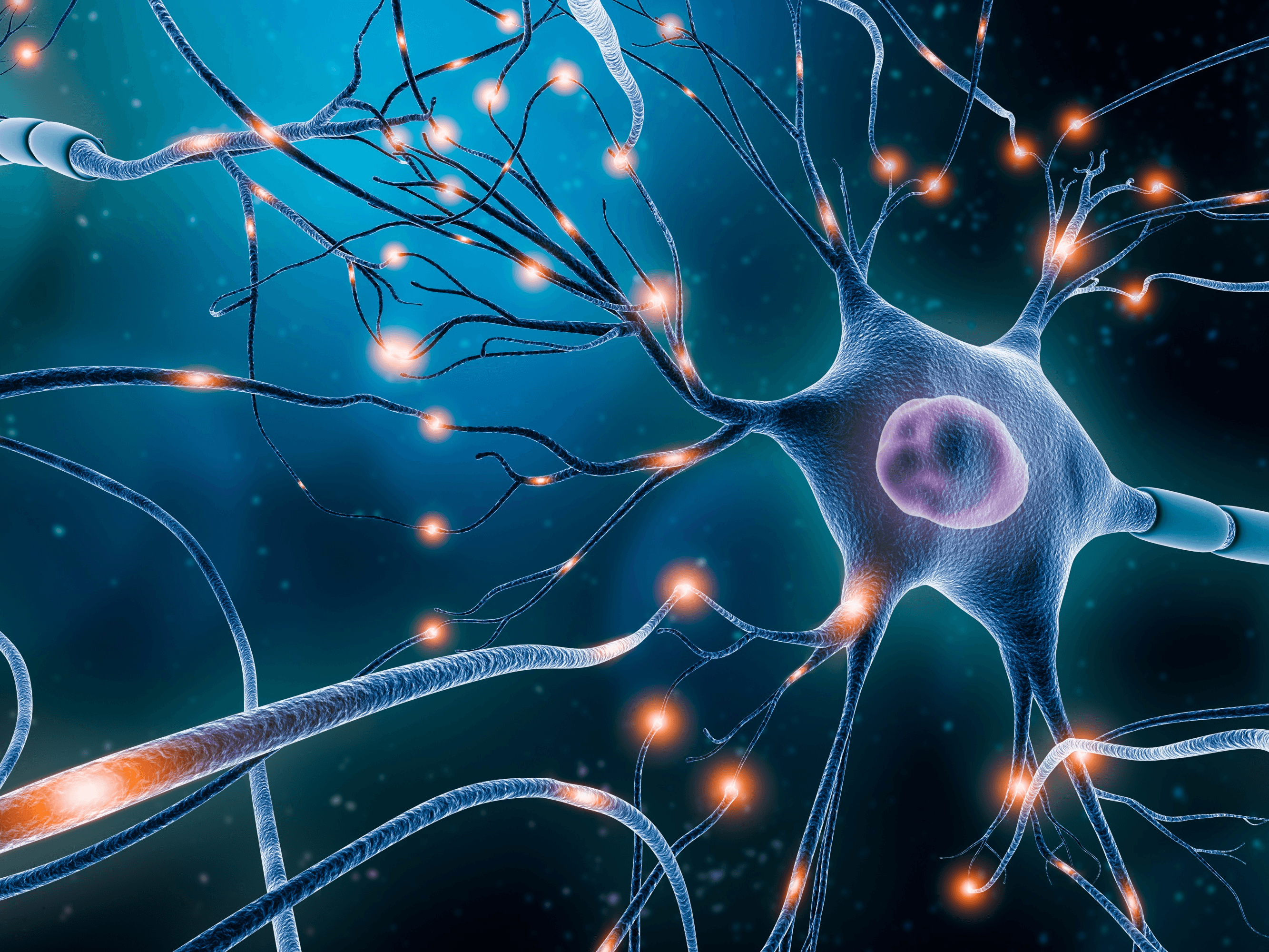 SynaptixBio Secures FDA Rare Paediatric Disease Designation To Develop Treatments For Leukodystrophy