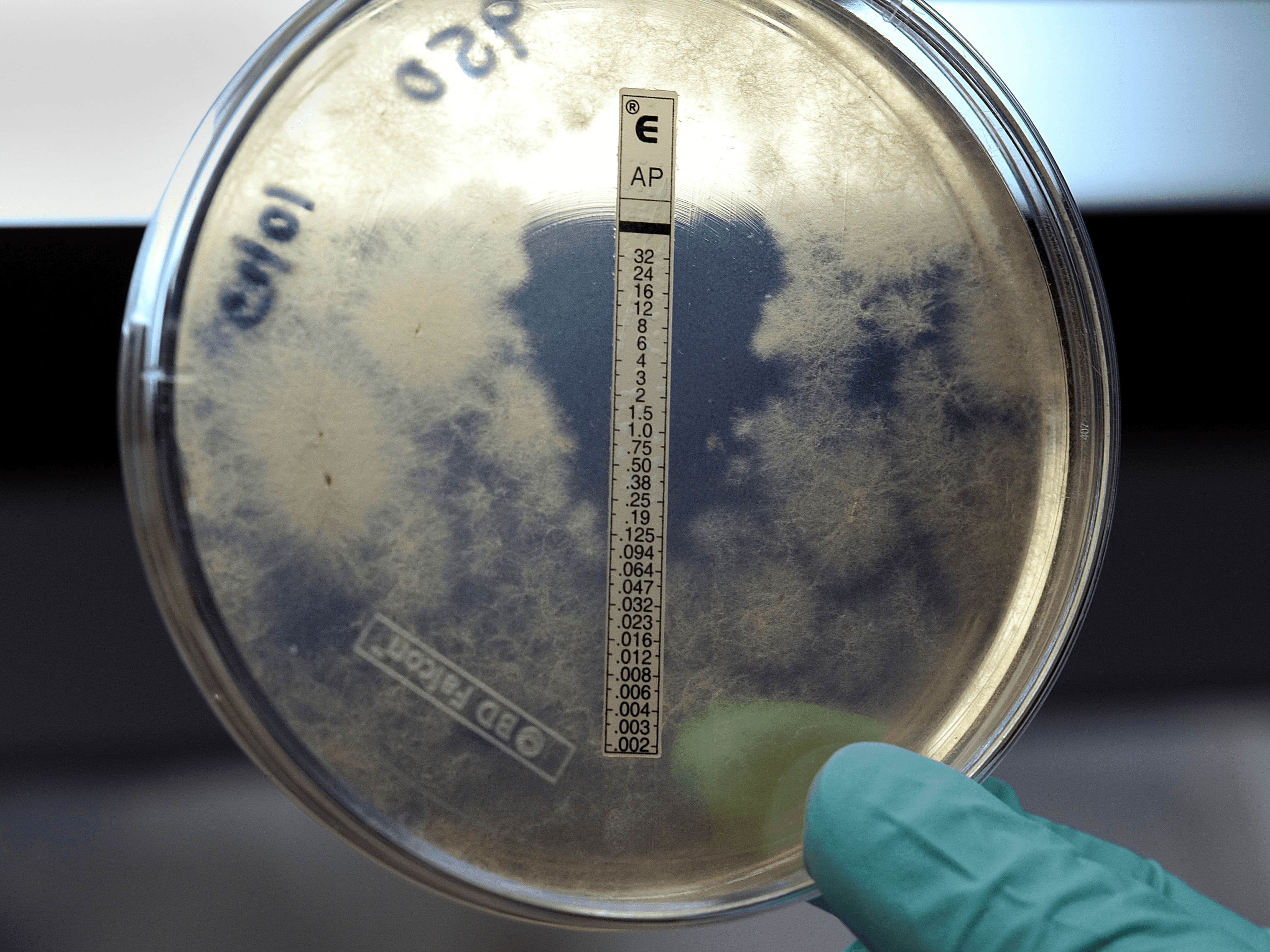 F2G announce development and commercialisation for rare antifungal treatment