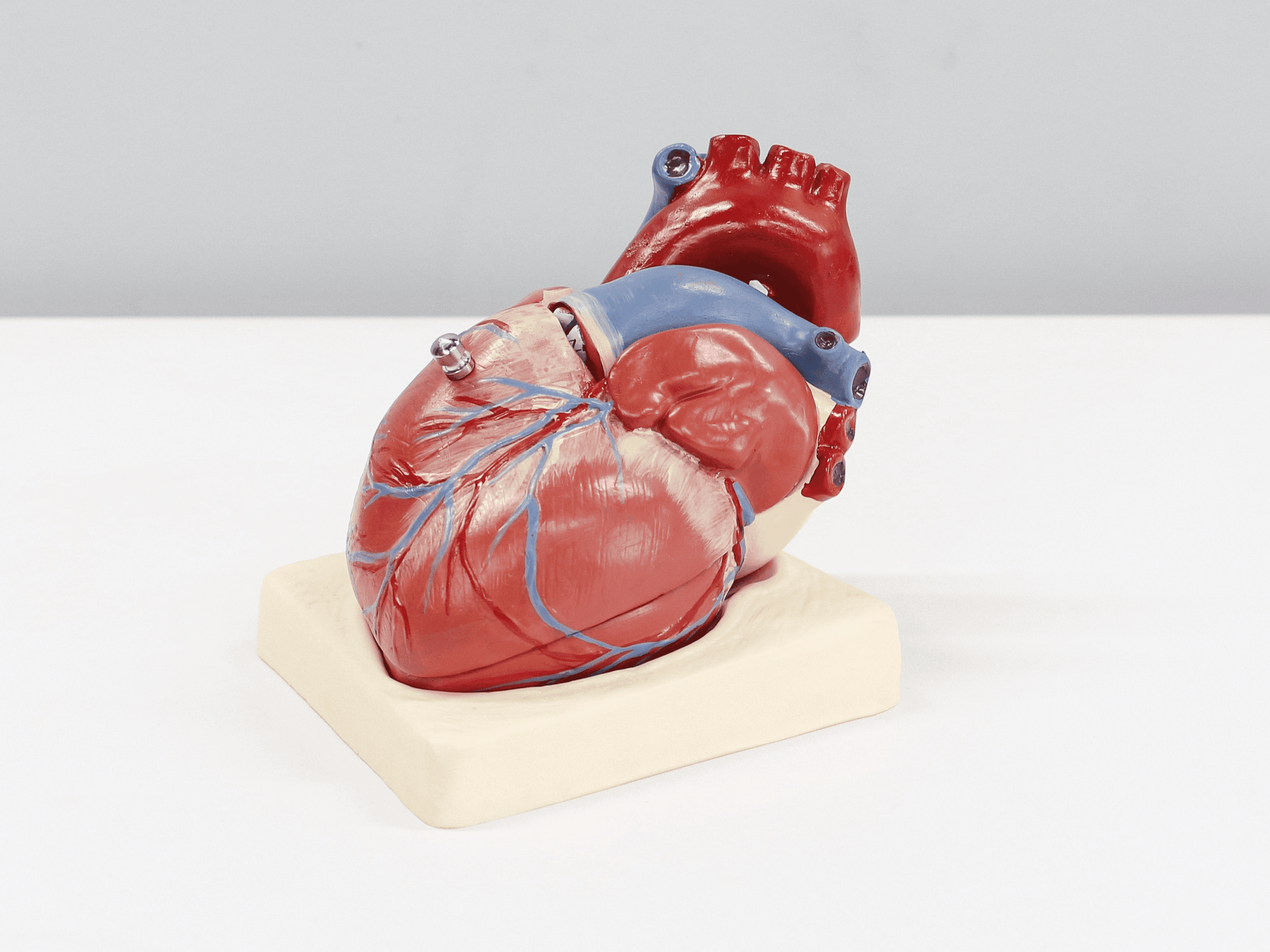 AstraZeneca’s Farxiga approved to reduce risk of cardiovascular death