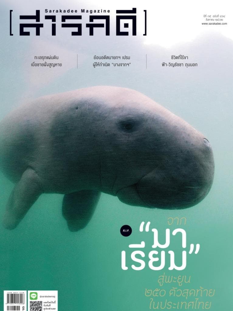 414 พะยูน มาเรียม การกัดเซาะชายฝั่ง