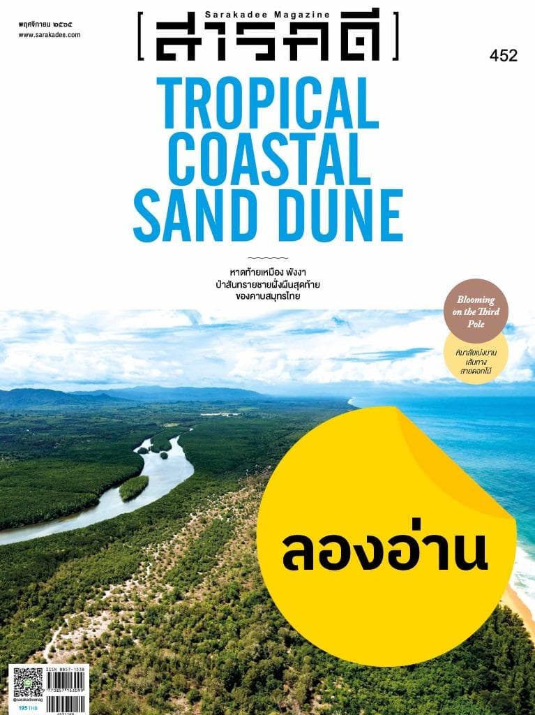 ลองอ่าน 452 พฤศจิกายน 65 หาดท้ายเหมือง พังงา ป่าสันทรายชายฝั่งผืนสุดท้ายของคาบสมุทรไทย