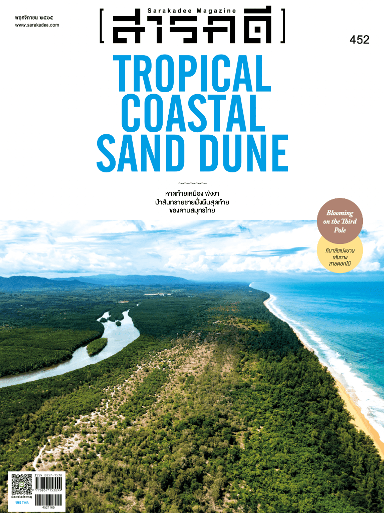 452 พฤศจิกายน 65 หาดท้ายเหมือง พังงา ป่าสันทรายชายฝั่งผืนสุดท้ายของคาบสมุทรไทย