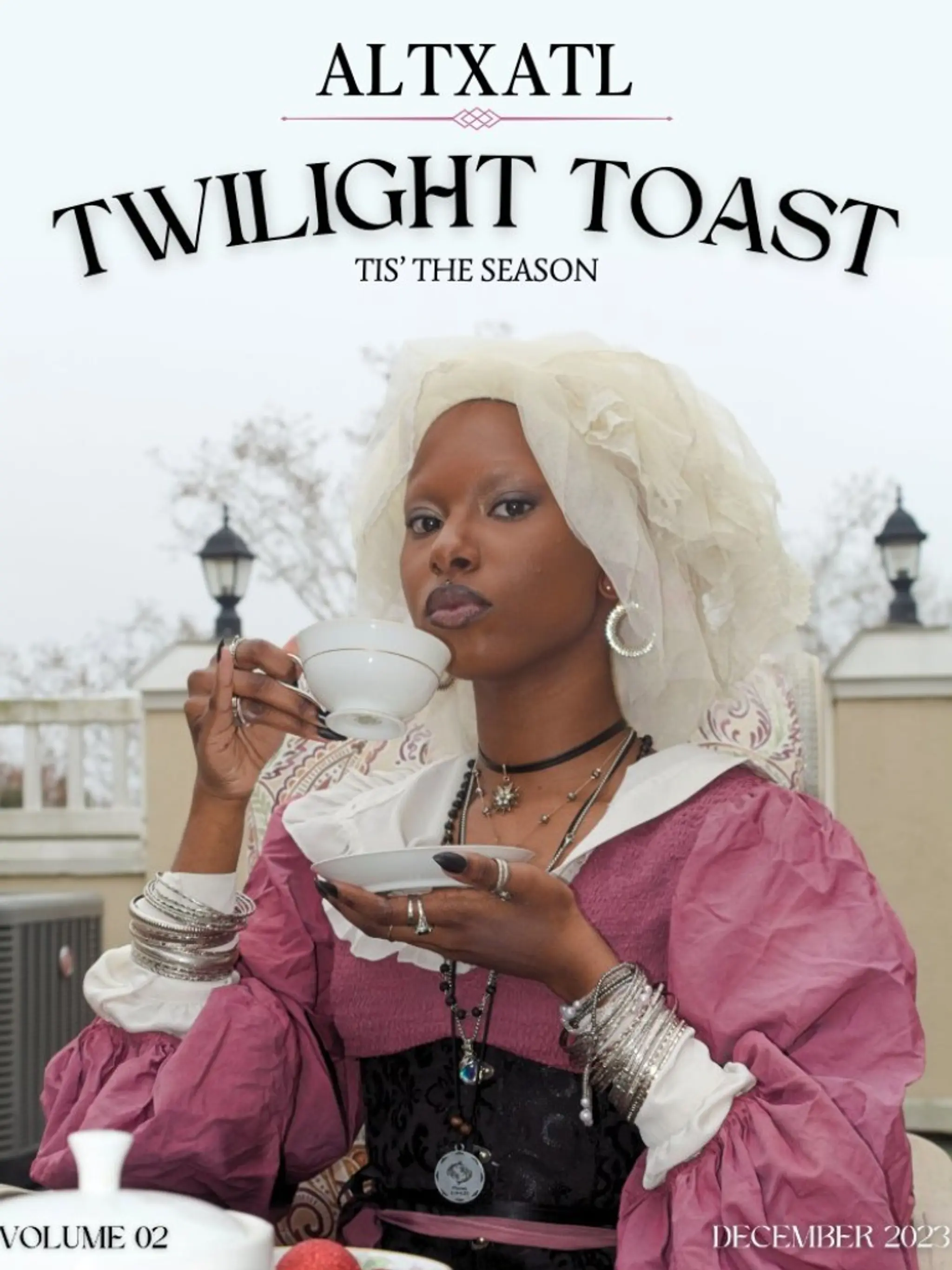 Twilight Toast - PDF Sample Issue