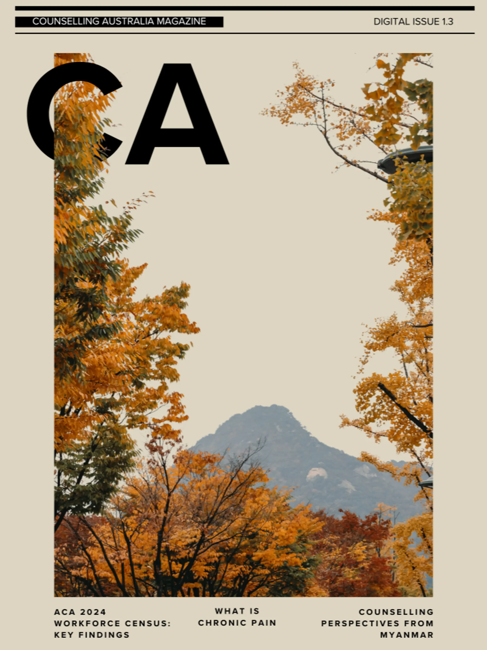 Digital Edition 1.3