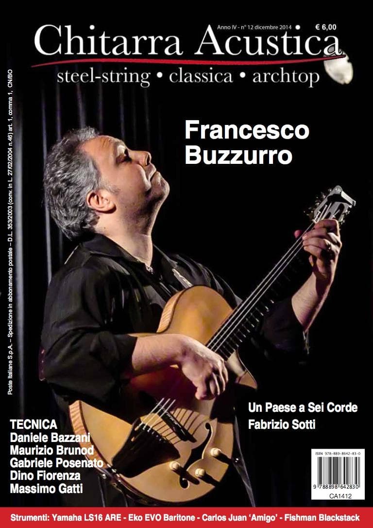 Chitarra Acustica 2014 - 12